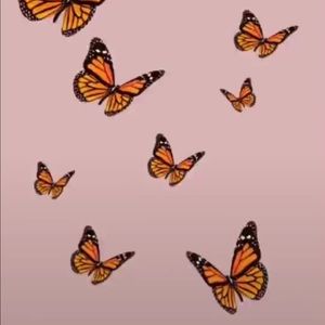 Meet your Posher, Jillian